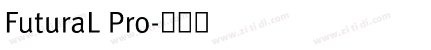 FuturaL Pro字体转换